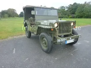 Jeep Willys Willys MB Bild 2