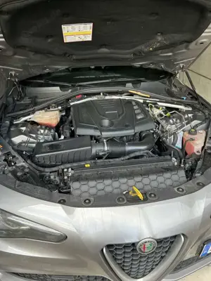 Alfa Romeo Giulia 2.0 Turbo 16V AT8 Super