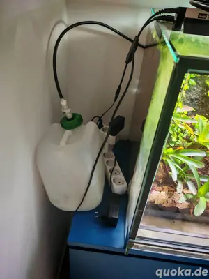 Dendrobaten Terrarium 60*50*50cm mit Beregnungsanlage & Beleuchtung Bild 2