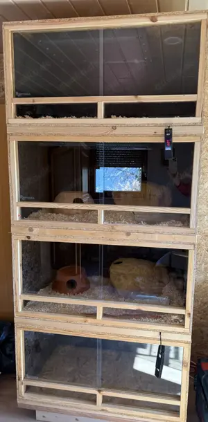 OSB Terrarien 100x60x50