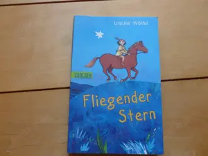 Fliegender Stern von Ursula Wölfel