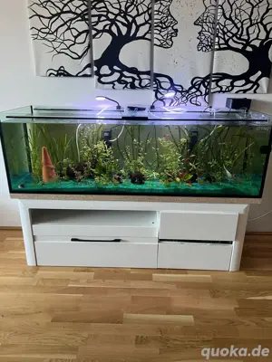 Aquarium 500 Liter