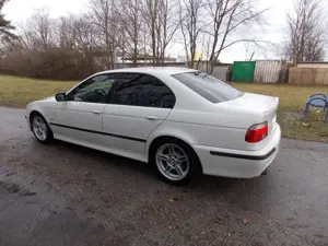 BMW 540 540i Bild 4