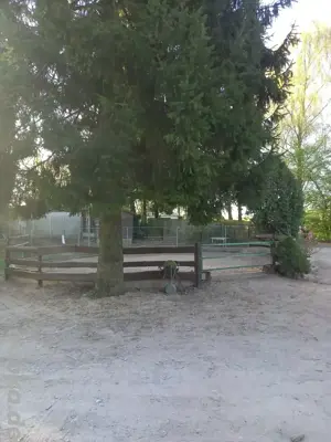 Gut Schnuck - hat noch Pferdeboxen mit Paddock frei Bild 10