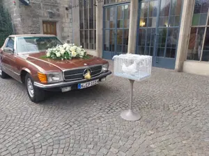 Hochzeitstauben weiße Tauben