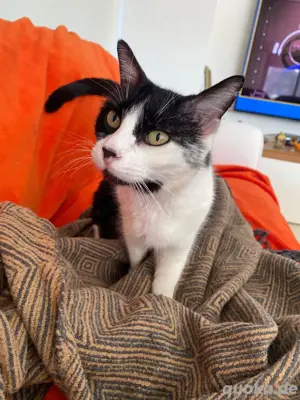 Lernt Dosky kennen ! Bild 5