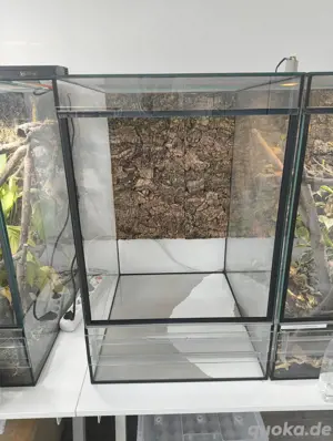 Glasterrarium 50x60x80 