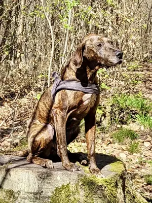 Jadviga, jetzt Emmi, PS in 66113 Saarbrücken, höfliche ältere Damen