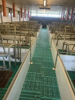 Ferkelerzeugungsanlage