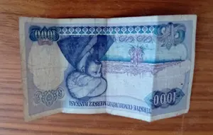 Banknote Türkische Lira Bild 2