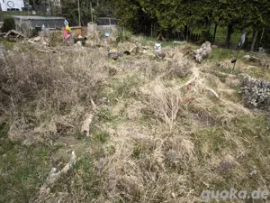 Aufnahme Griechische Landschildkröten  Bild 2