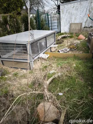 Aufnahme Griechische Landschildkröten  Bild 5