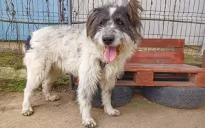 Wir stellen vor: Einstein der Freundliche