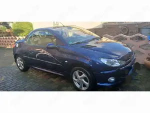 Peugeot 206 CC 110, Platinum