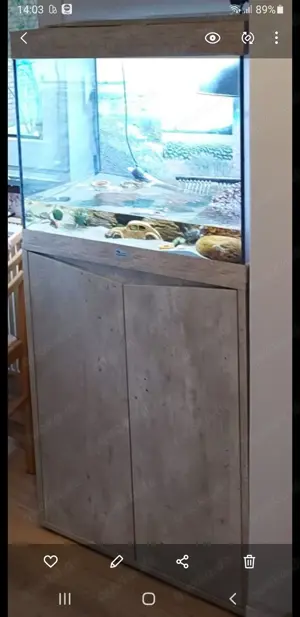 Aquarium mit Unterschrank