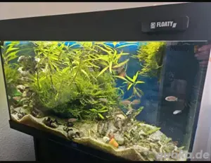 Aquarium Rio 125 + Schrank 
