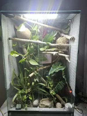 Terrarium  