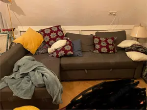 IKEA Friheten Schlafsofa 