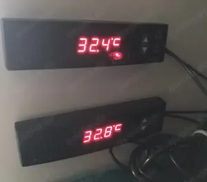 Königspythons und Hochwertige Rack-Anlange inkl. Technik Bild 3