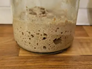 Sauerteig aus Bio Roggenvollkornmehl Starter Anstellgut VERSAND Bild 2