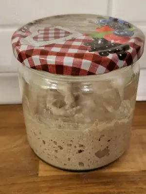Sauerteig aus Bio Roggenvollkornmehl Starter Anstellgut VERSAND Bild 3