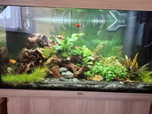 Juwel Rio 125 LED Kombination, helles Holz Komplett 4 Monate alt