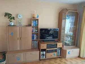 Wohnwand Schrank Holz Fernseher Bücher Eiche Glas Vitrine Schubladen Bücherregal Phonotisch TV-Tisch