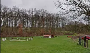 Weide mit Hütte neu zu verpachten