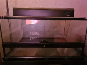 Exo Terrarium 60x45x30 plus Compact Top...Leichte Kalk Spuren