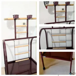 Freisitz für Papagei und Großsittiche  Bild 3