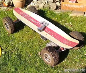 Elektro Skateboard Ranis 800W