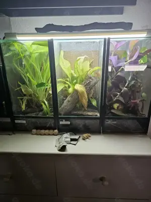 Terrarium 20x20x40cm