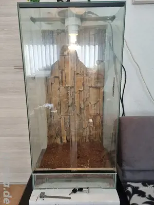 Hochterrarium 
