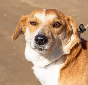 Norika, eine sanfte Seele