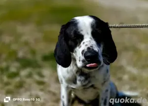 GUNNAR    sucht sein Glück