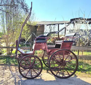 Leichte Freizeit- Einspännerkutsche