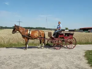Kutsche für Freizeitfahrer