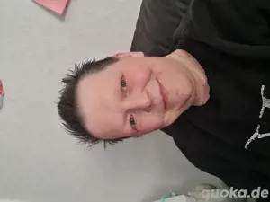 kätzchen sucht kater
