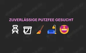 Zuverlässige Putzfee gesucht - ab sofort!