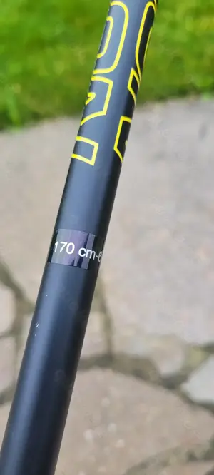 Skiroller mit Stöcken 