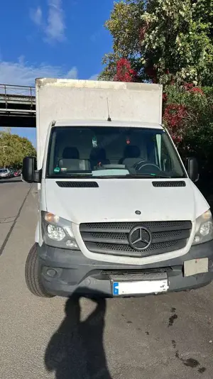 Mercedes-Benz Sprinter 316 CDI (BlueTec) 906.131 BlueEFFICIENCY