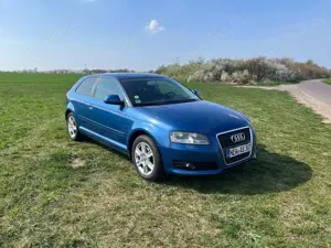 Audi A3 A3 1.9 TDI - TÜV neu, SHZ, Klima, Tempomat