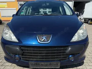 Peugeot 307 Grand Filou Cool