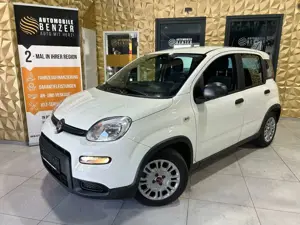 Fiat Panda Base/KLIMA/4-TÜRER/DAB/ALLWETTER