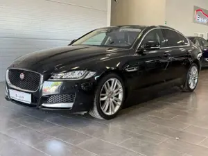 Jaguar XF 30d Prestige Head-Up/Pano/Kamera/LEDs/TotWink