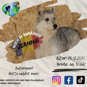Jeannie wartet schon ewig auf Dich