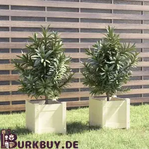 1 2Stk. Pflanzkübel aus massiven Kiefernholz 31x31x31cm (5Farben)