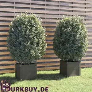 1 2Stk. Pflanzkübel aus massiven Kiefernholz 40x40x40cm (5Farben)