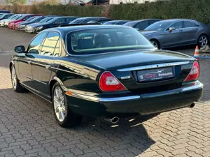 Jaguar XJ8 4.2 V8 1 Hand Tüv/Au NEU Scheckheft Bild 4
