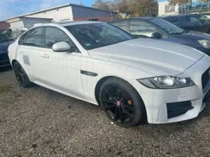 Jaguar XF R-Sport Bild 1